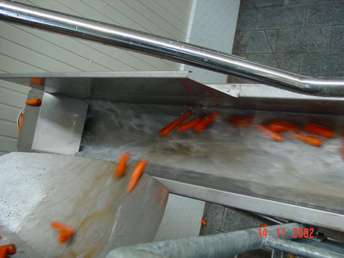 Перемещение моркови потоком воды